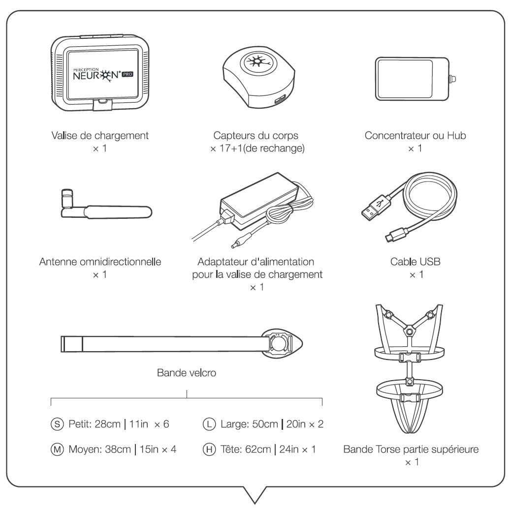 Perception Neuron Pro – PERCEPTION NEURON